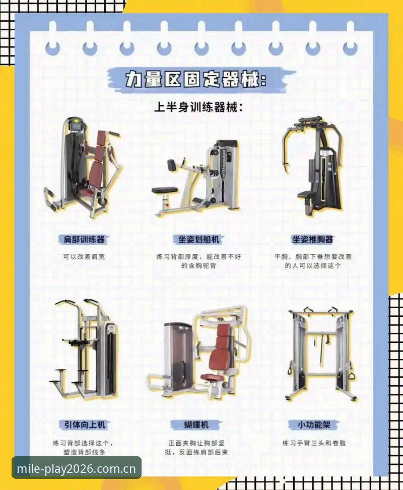 米乐体育平台实用指南：2026新版三大核心功能与操作详解